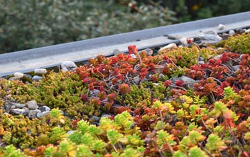 the cost of Higher Penwortham green roof installation