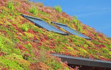 Higher Penwortham living roof systems