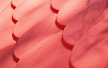 Higher Penwortham plastic roof costs