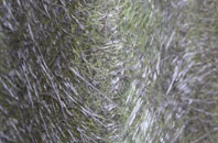 Higher Penwortham fibreglass roof work